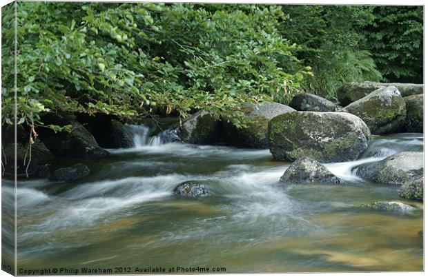 At Dartmeet Canvas Print by Phil Wareham