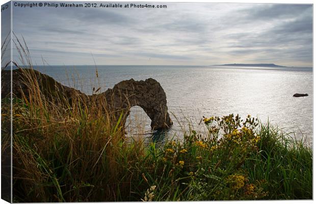 Durdle Door Canvas Print by Phil Wareham