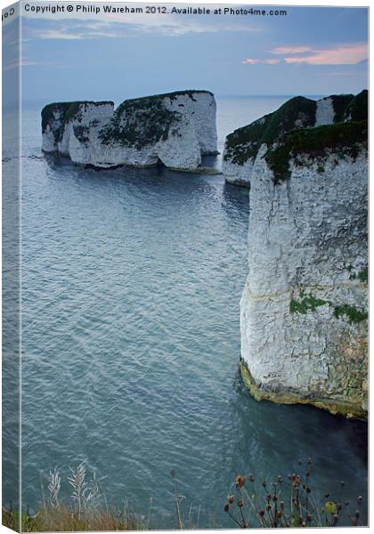 Early at Old Harry Canvas Print by Phil Wareham