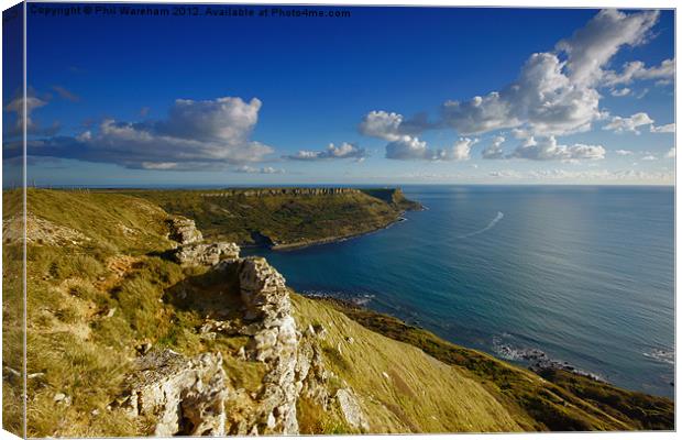 St Aldhelm's Head from Houns-Tout Canvas Print by Phil Wareham