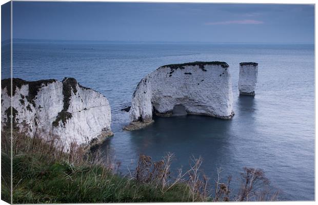 Old Harry Canvas Print by Phil Wareham