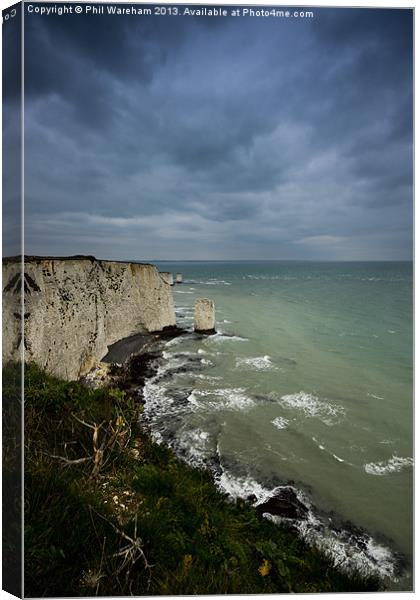 A Pinnacle and Old Harry Canvas Print by Phil Wareham