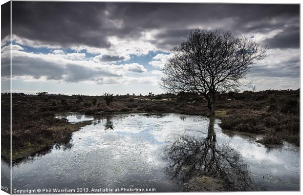 Burley, New Forest Canvas Print by Phil Wareham