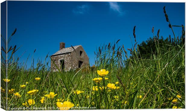 Buttercups and Ruin Canvas Print by Phil Wareham