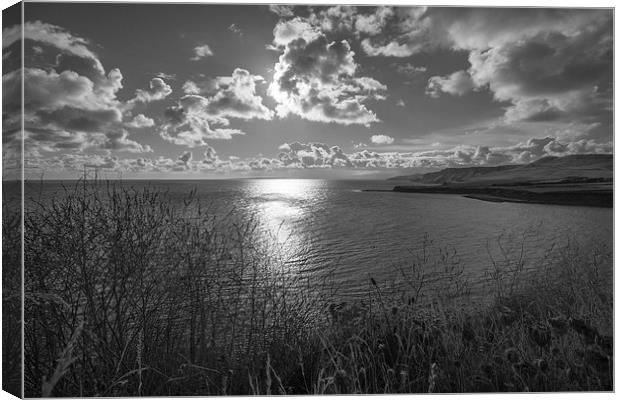 View from the clifftop Canvas Print by Phil Wareham