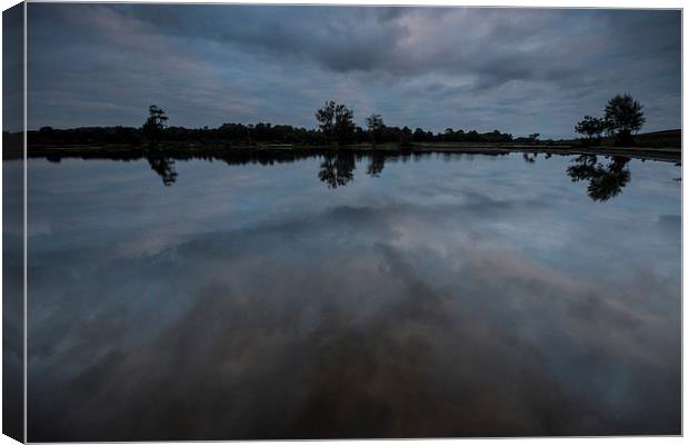 Whitten Reflections Canvas Print by Phil Wareham