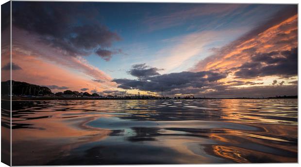 Whitecliff Reflections Canvas Print by Phil Wareham