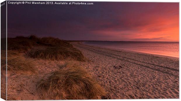 Tracks on the beach Canvas Print by Phil Wareham