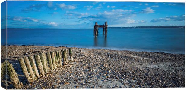 Across the Solent from Lepe Canvas Print by Phil Wareham