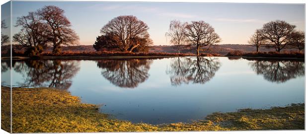 New Forest Pond Canvas Print by Phil Wareham