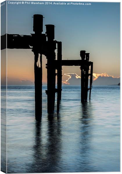 Dolphins at Lepe Canvas Print by Phil Wareham
