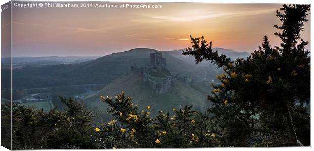 Corfe and Gorse Canvas Print by Phil Wareham