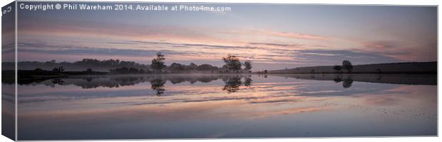 Pond Panorama Canvas Print by Phil Wareham