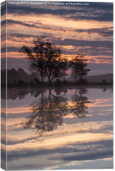 Reflections on a pond Canvas Print by Phil Wareham