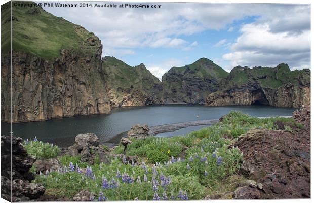 Heimay, Iceland Canvas Print by Phil Wareham