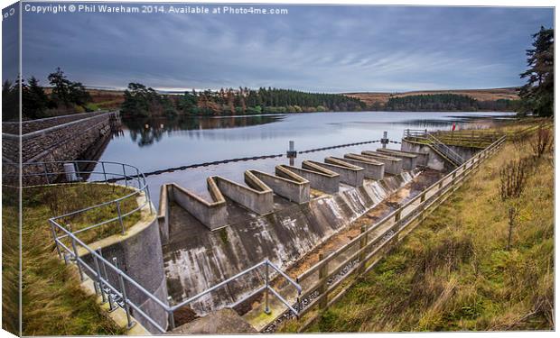  Dartmoor Reservoir Canvas Print by Phil Wareham