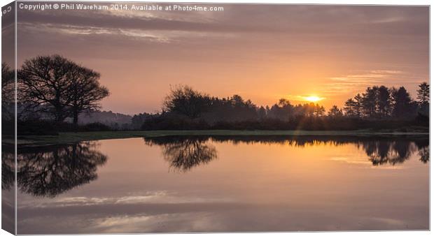  Morning at Mogshade Canvas Print by Phil Wareham