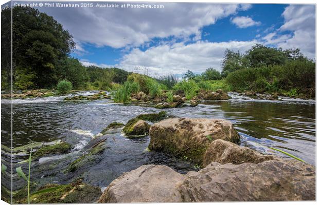  Island in the river Canvas Print by Phil Wareham