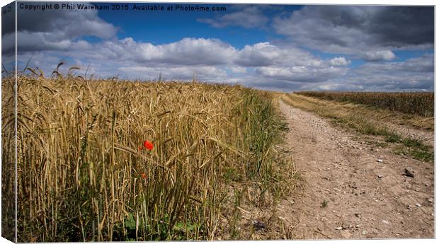  The Way through the Field Canvas Print by Phil Wareham