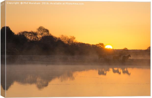 Ponies at Dawn Canvas Print by Phil Wareham