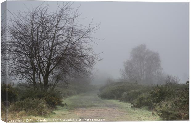 Fog over the common Canvas Print by Phil Wareham