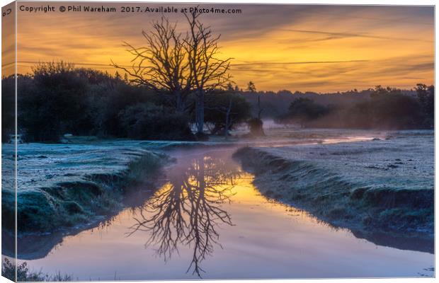 Mill Lawn Brook Canvas Print by Phil Wareham