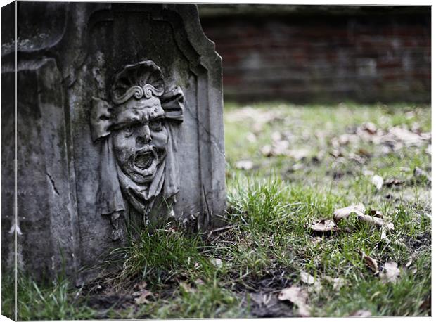 Holland Park scream Canvas Print by Andrew Watson