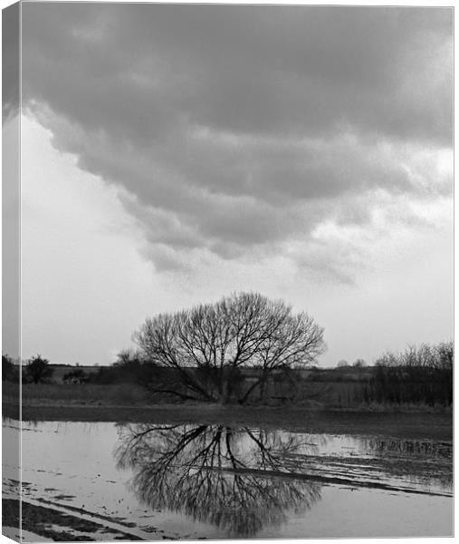Tree Reflection Under Black Cloud Canvas Print by Andrew Watson