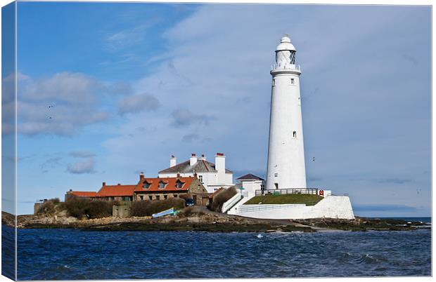 St Mary's Lighthouse Canvas Print by James MacRae