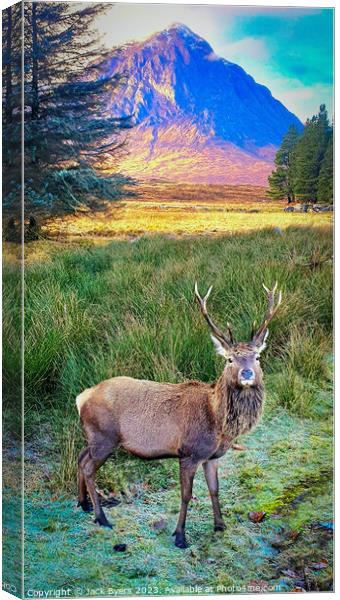 Red deer stag in Glencoe Canvas Print by Jack Byers