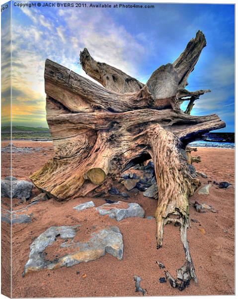 Driftwood Canvas Print by Jack Byers
