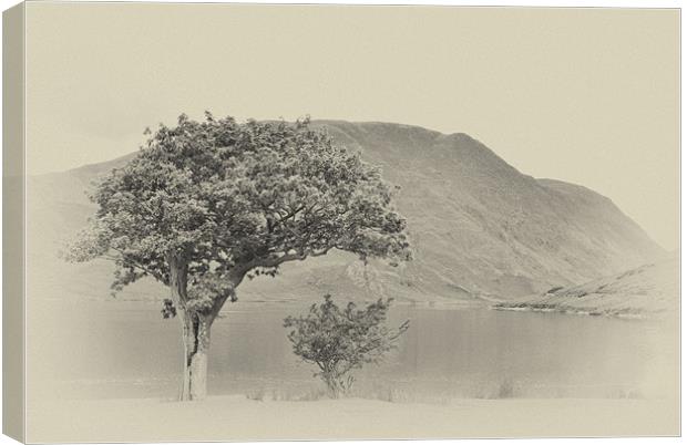 Crummock Waters Canvas Print by Julie  Chambers