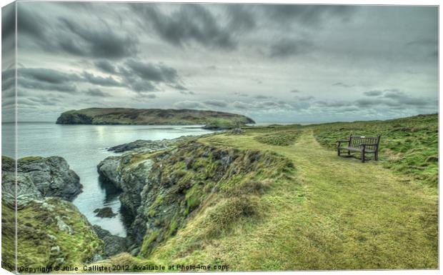 Calf of Man Canvas Print by Julie  Chambers