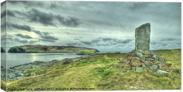 Calf of Man Canvas Print by Julie  Chambers