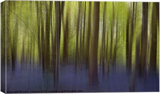 Bluebell Woods Canvas Print by Julie  Chambers