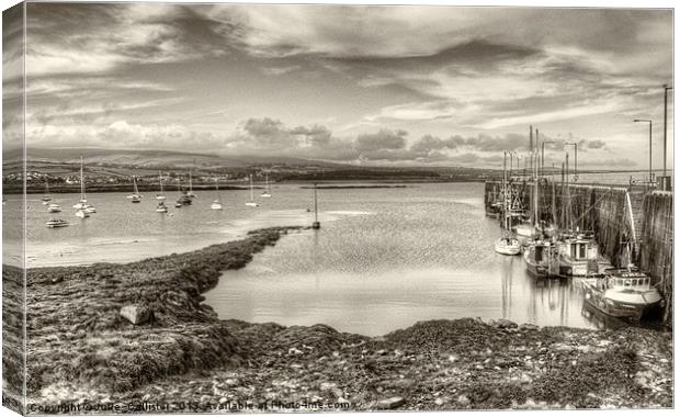 Port St Mary Harbour Canvas Print by Julie  Chambers