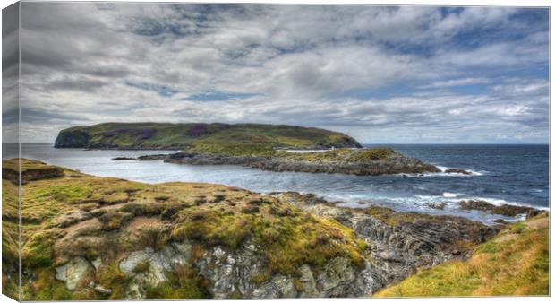 Calf Of Man Isle Of Man Canvas Print by Julie  Chambers