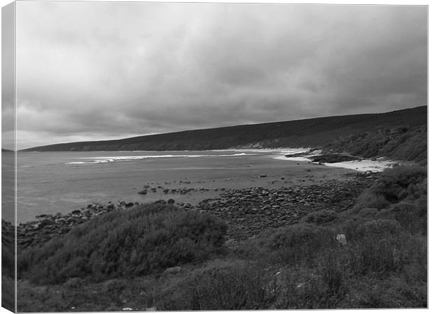 Windswept Beach Canvas Print by helene duerden