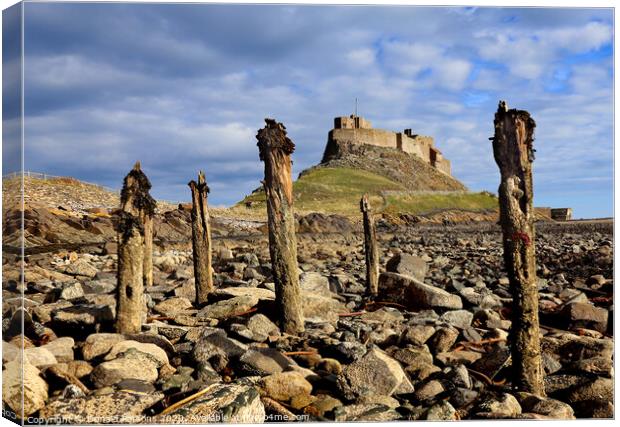 Lindesfarne Castle, Holy Isle Canvas Print by Donald Parsons