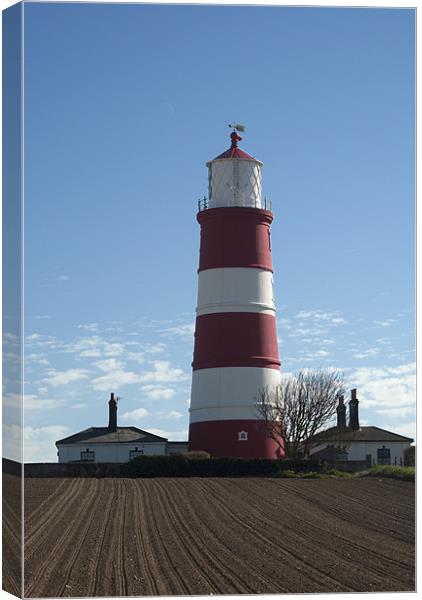 Happisburgh Lighthouse Canvas Print by Damien VC