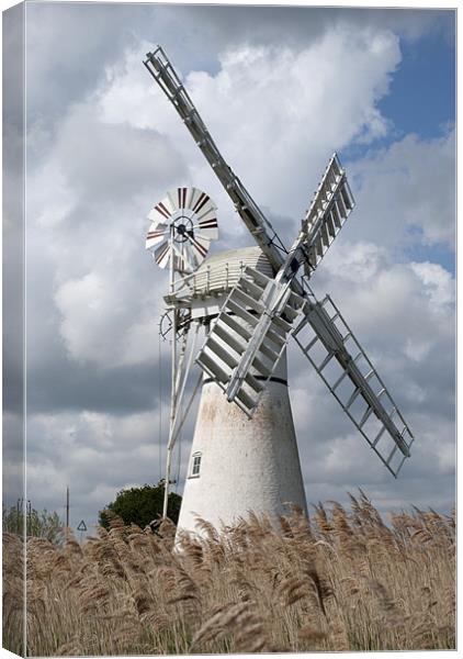Thurne Drainage Mill, Norfolk. Canvas Print by Damien VC
