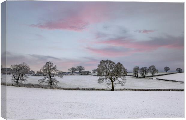 Winter Sunset Canvas Print by David Tinsley