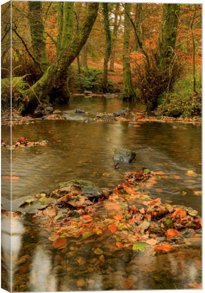 Autumn Reflections Canvas Print by David Tinsley