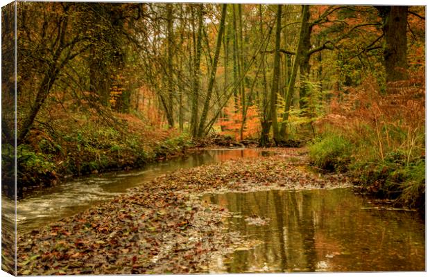 Autumn Reflections Canvas Print by David Tinsley