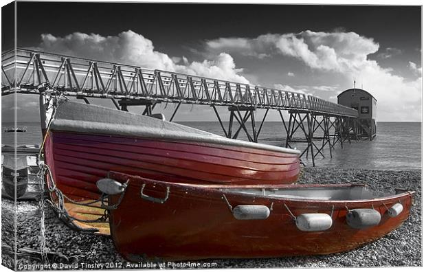 Red Boats Canvas Print by David Tinsley