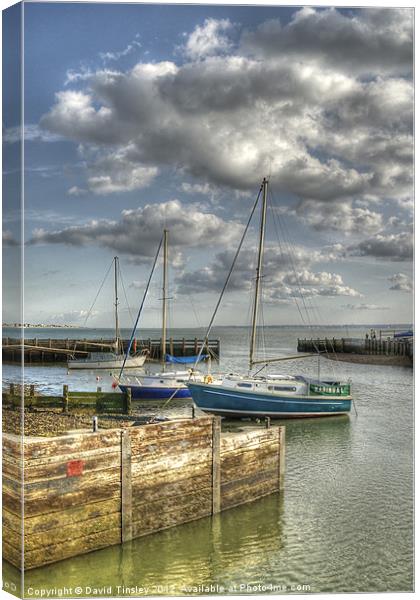 Solent View Canvas Print by David Tinsley