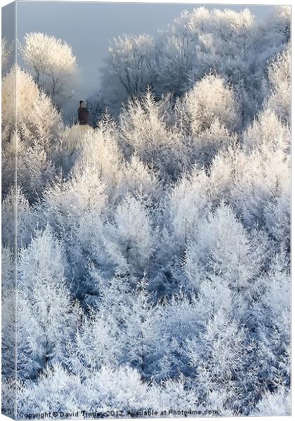 Snow Cottage Canvas Print by David Tinsley