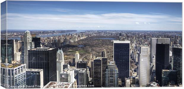 Central Park Canvas Print by David Tinsley