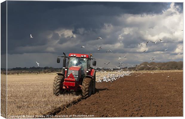 Red Tractor Canvas Print by David Tinsley