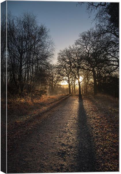 Cycle Path Sunrise Canvas Print by David Tinsley